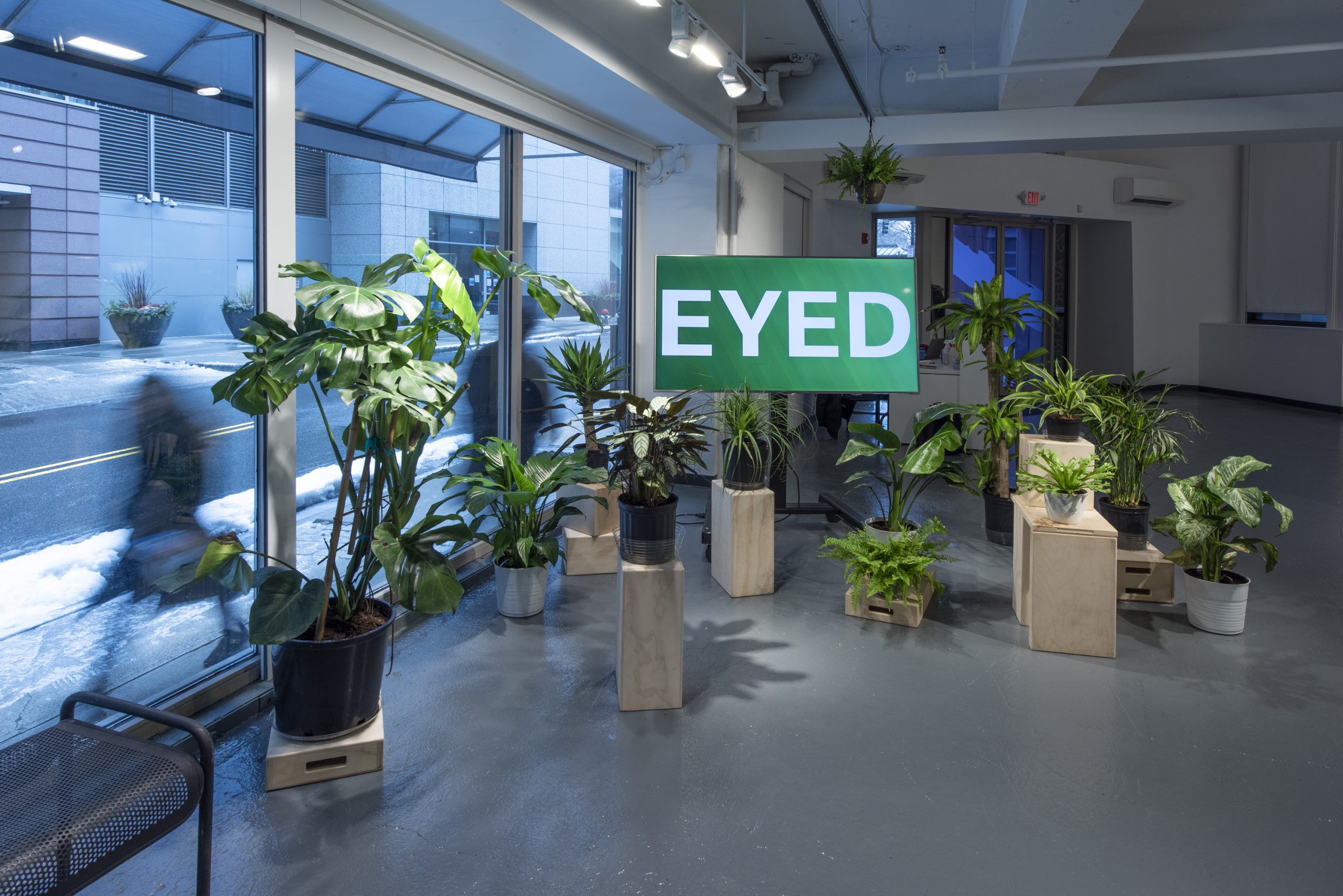 TV saying "eyed" surrounded by plants