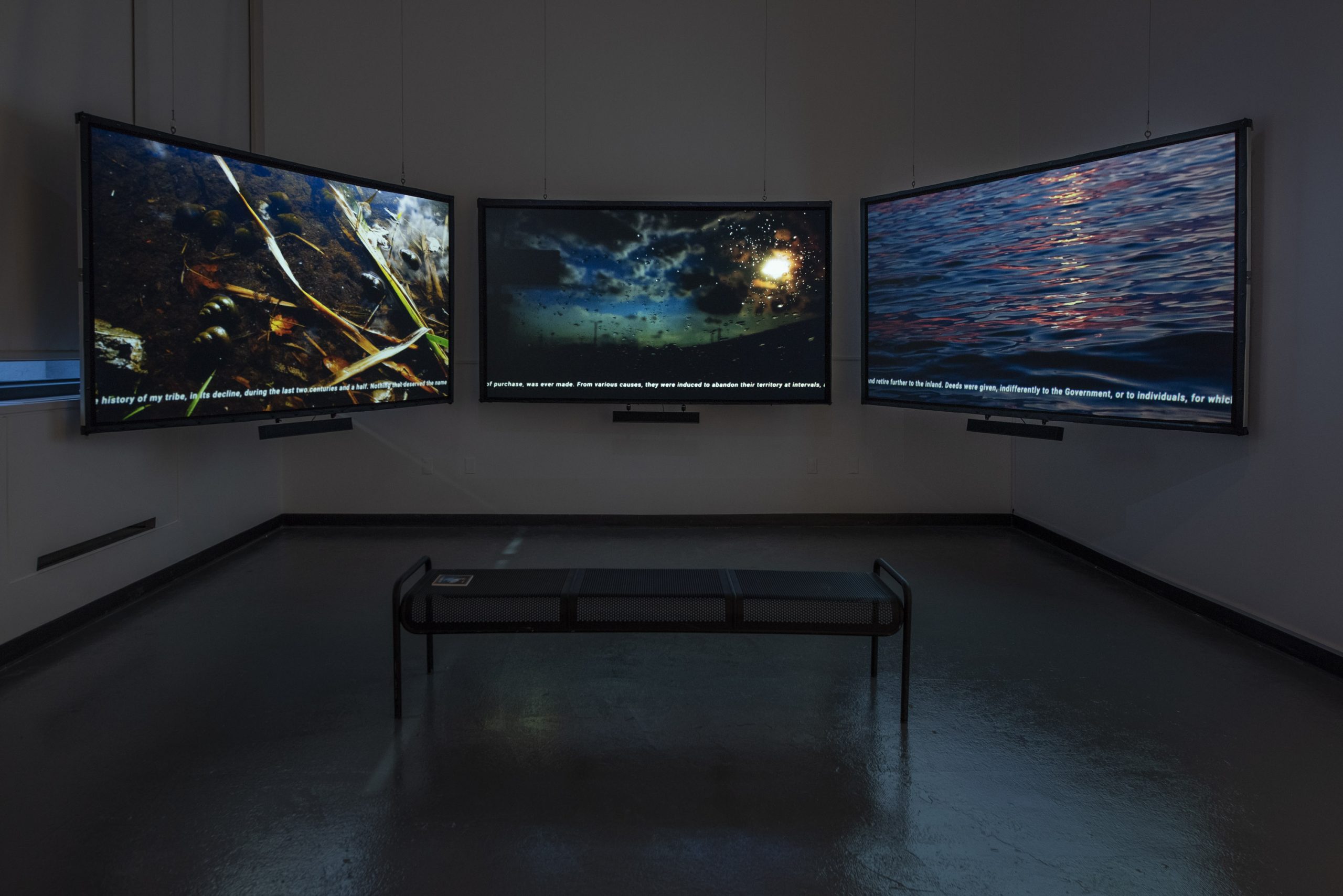 three projection screens of nature imagery