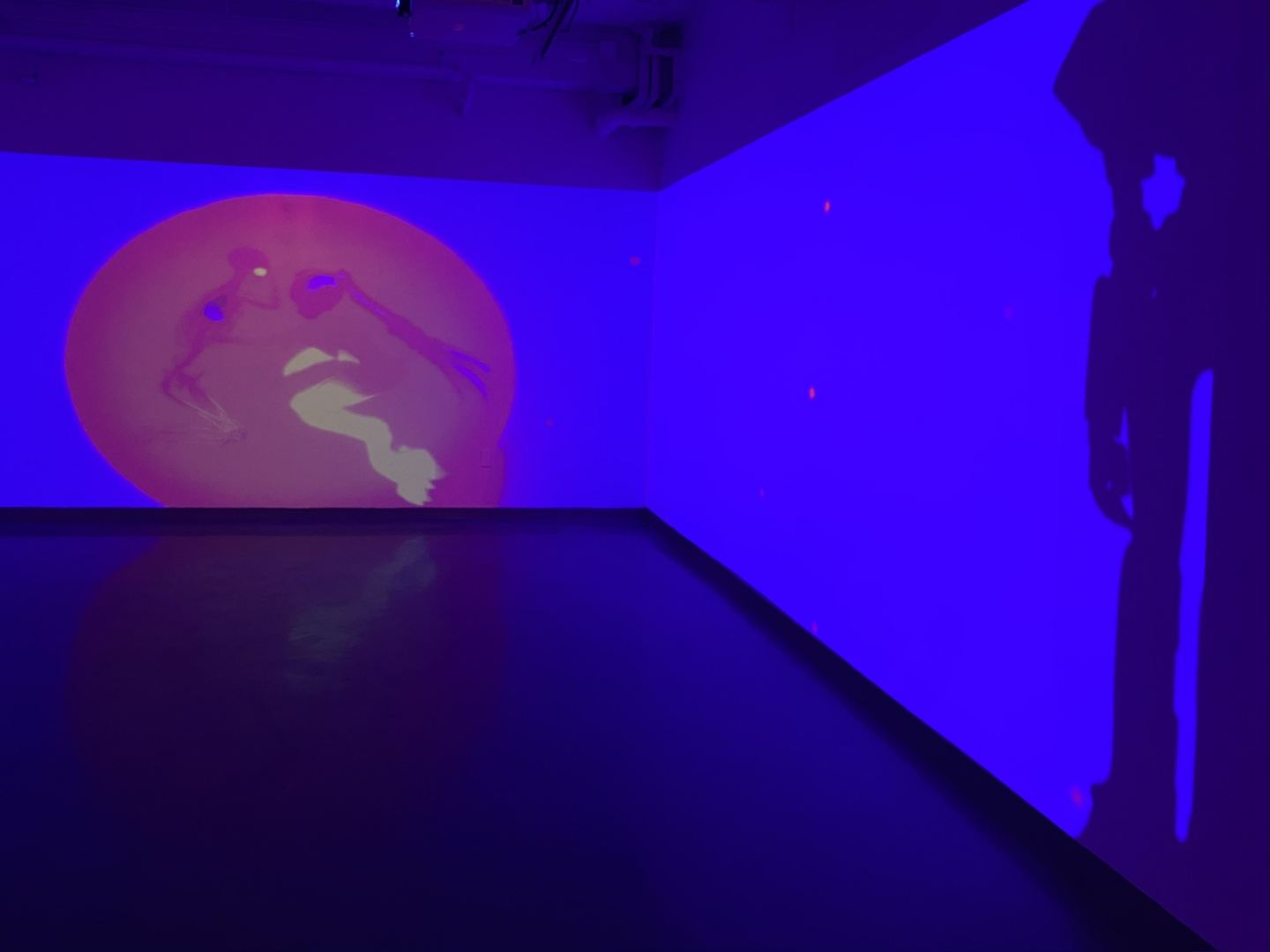 Single channel video projection featuring saturated colors and showing two avatars.