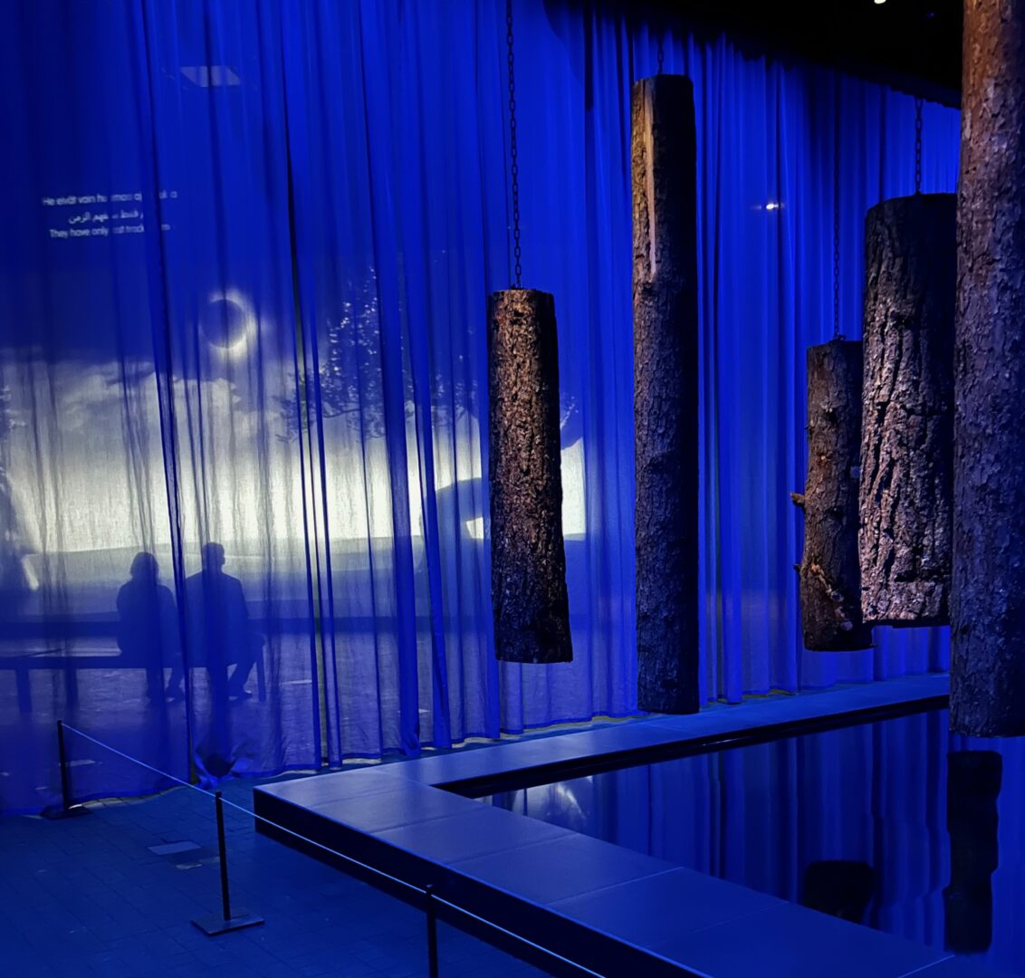 Blue sheer curtains surround a dark pool with suspended logs, a couple sitting on a bench int he background