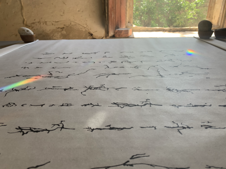 Artist Reception, A Sentient Land: Artistic Alliances with Forests, Beetles, Salt, and Air