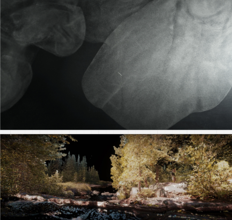 two stacked images, the top a white misty cloud before a black background, the bottom a forest landscape before a dramatic dark backdrop