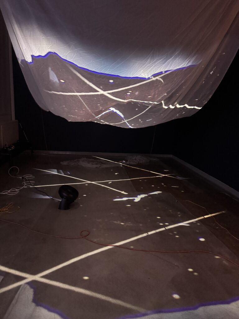 What Distance Holds: An MFA Thesis Exhibition Featuring video installations by Sarasa Kikuchi and Rui Shen