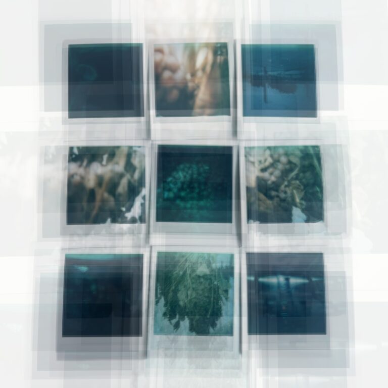 What Distance Holds: An MFA Thesis Exhibition Featuring video installations by Sarasa Kikuchi, Rui Shen, and Siqi Xiong